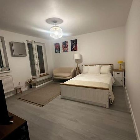 Апартаменты Studio Cozy Piata Victoriei Бухарест Экстерьер фото