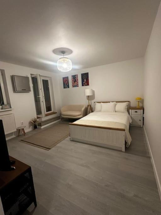 Апартаменты Studio Cozy Piata Victoriei Бухарест Экстерьер фото