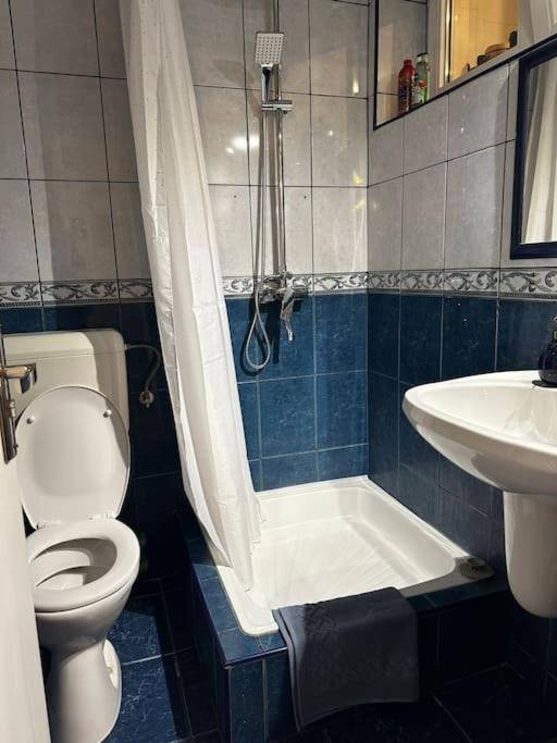 Апартаменты Studio Cozy Piata Victoriei Бухарест Экстерьер фото